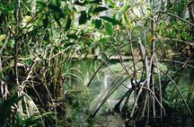 Visit of the fisher man village of Home Krateng from Bangkok with your private English-speaking guide