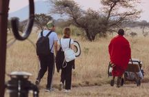 5-Day Private Luxury Safari from Zanzibar to Northern Tanzania