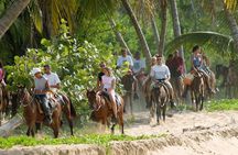  Samana + Cayo Levantado + Horseback Riding from Punta Cana with Lunch