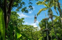 Explorer Trek - 2-hour Aerial Park Adventure in Miami