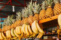 Mexican Cooking Experience and Local Markets Tour