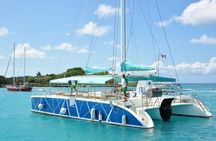 Saona Island: Full-day Sailing Tour - Small Group