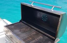 Saona Island: Full-day Sailing Tour - Small Group