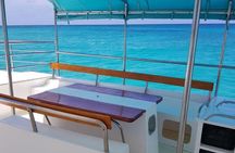 Saona Island: Full-day Sailing Tour - Small Group