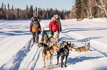 Chena River Mush Dream Vacation in Fairbanks