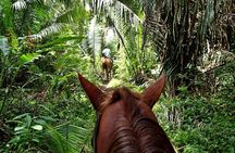 Holbox Horseback Riding in Nature Experience