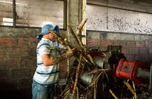 Panelero Tour a sweet experience through Antioquia culture