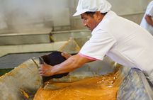 Panelero Tour a sweet experience through Antioquia culture
