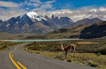 Full Day Torres del Paine Private