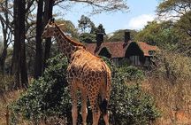 A Day Tour to Giraffe Center in Nairobi Kenya