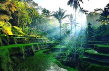Best of Ubud - Ubud Tour Popular - All Inclusive