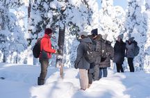 Wilderness Survival Tour - Winter