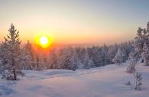 Family Snowmobile Sledge Ride in Rovaniemi