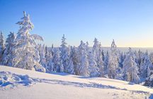 Family Snowmobile Sledge Ride in Rovaniemi