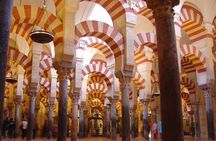 Cordoba and its Mosque from Granada with Semiprivate Transfer