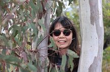 Blue Mountains Private Tour