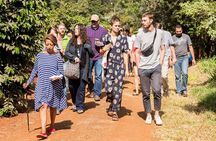 Coffee Farm Village & Factory Half Day Tour with Pick-Up 