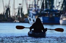 2 Hours Shem Creek Safari Kayak Tour