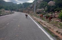 Vietnam Cycling Tour: Ho Chi Minh city to Hoi An