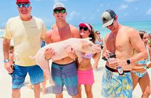 Perfect Day - Pigs, Turtles, Snorkel & Lunch