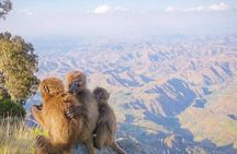10 Days Simien Mountains Trekking, Adi Arkay via Ras Dashen 