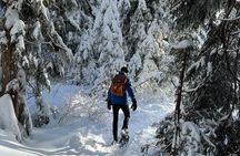 Snowshoeing at The Top of The Sea to Sky Gondola