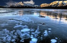 Banff Winter Day Tour: Lake Louise Ski Resort & Abraham Lake