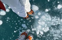 Banff Winter Day Tour: Lake Louise Ski Resort & Abraham Lake