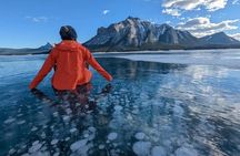 Banff Winter Day Tour: Lake Louise Ski Resort & Abraham Lake