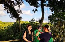 Yaxha Archaeological Focus Afternoon and Sunset Tour with Monkeys Spotting