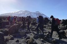 5 Days Marangu Route Kilimanjaro Climbing