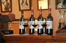 Daily Different small group WINE tour - CAPE TOWN PICKUP
