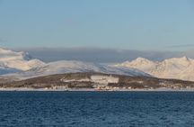 All-Inclusive Arctic Fjords and Sommarøy Scenic Tour