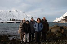 All-Inclusive Arctic Fjords and Sommarøy Scenic Tour