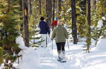 Snowshoeing at The Top of The Sea to Sky Gondola