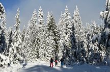 Snowshoeing at The Top of The Sea to Sky Gondola