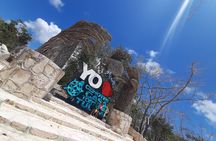 Full Day Tour 5 Natural Cenotes in Tulum from Cancun