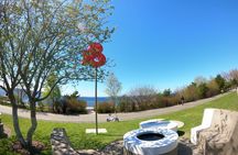 Seattle's Longest Historic & Cultural Walking Tour