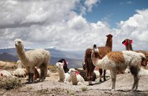 7 days tour Cusco Mountain of Colors Laguna Humantay Machu Picchu