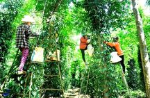 Half-day Exploring Phu Quoc Island by Bicycle