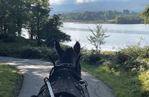 Horse-Drawn Carriage Tours in Killarney 