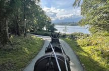Horse-Drawn Carriage Tours in Killarney 
