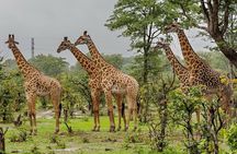 Full Day - Isimangaliso Wetlands - World Heritage Site fro Durban