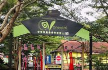 Private Tour in Langkawi With Sky Bridge And Langkawi Cable Car