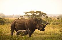 5 Days 4 Nights Lake Naivasha & Masai Mara Luxury Kenya Safari