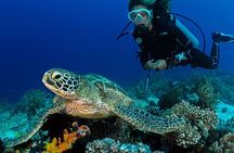 Scuba Diving to Dimaniyat Islands Muscat Oman
