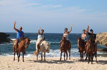 Aruba North Coastline: Small-Group Horseback Riding Tour