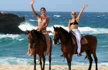 Aruba North Coastline: Small-Group Horseback Riding Tour