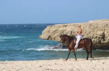 Aruba North Coastline: Small-Group Horseback Riding Tour