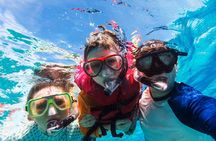 Snorkeling trips to Daymaniat Islands Sharing Trip